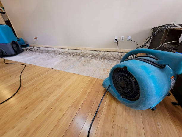Professional Burst Pipe Water Damage technician working in Sherman, CT